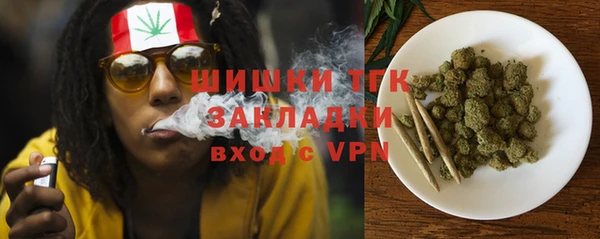гидра Алексеевка