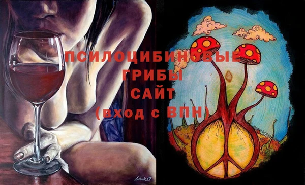 гидра Алексеевка