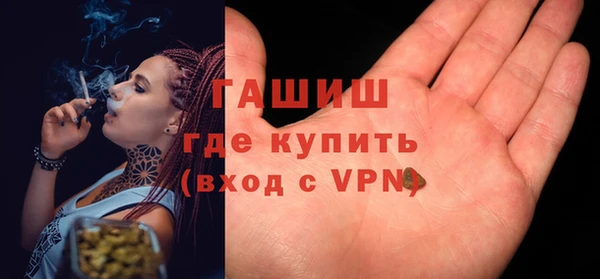 крисы Алзамай