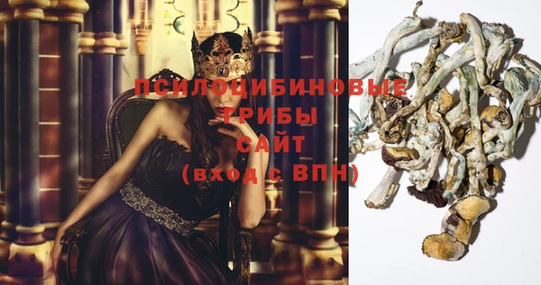 дживик Алексин