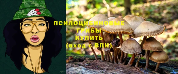 гидра Алексеевка