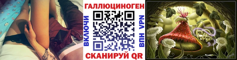 Псилоцибиновые грибы Psilocybine cubensis  ОМГ ОМГ tor  Далматово 