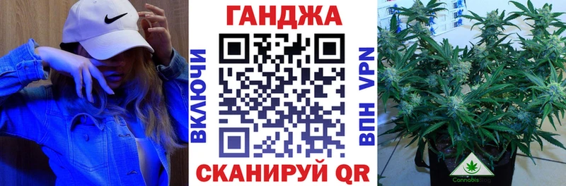 Бошки Шишки конопля Далматово